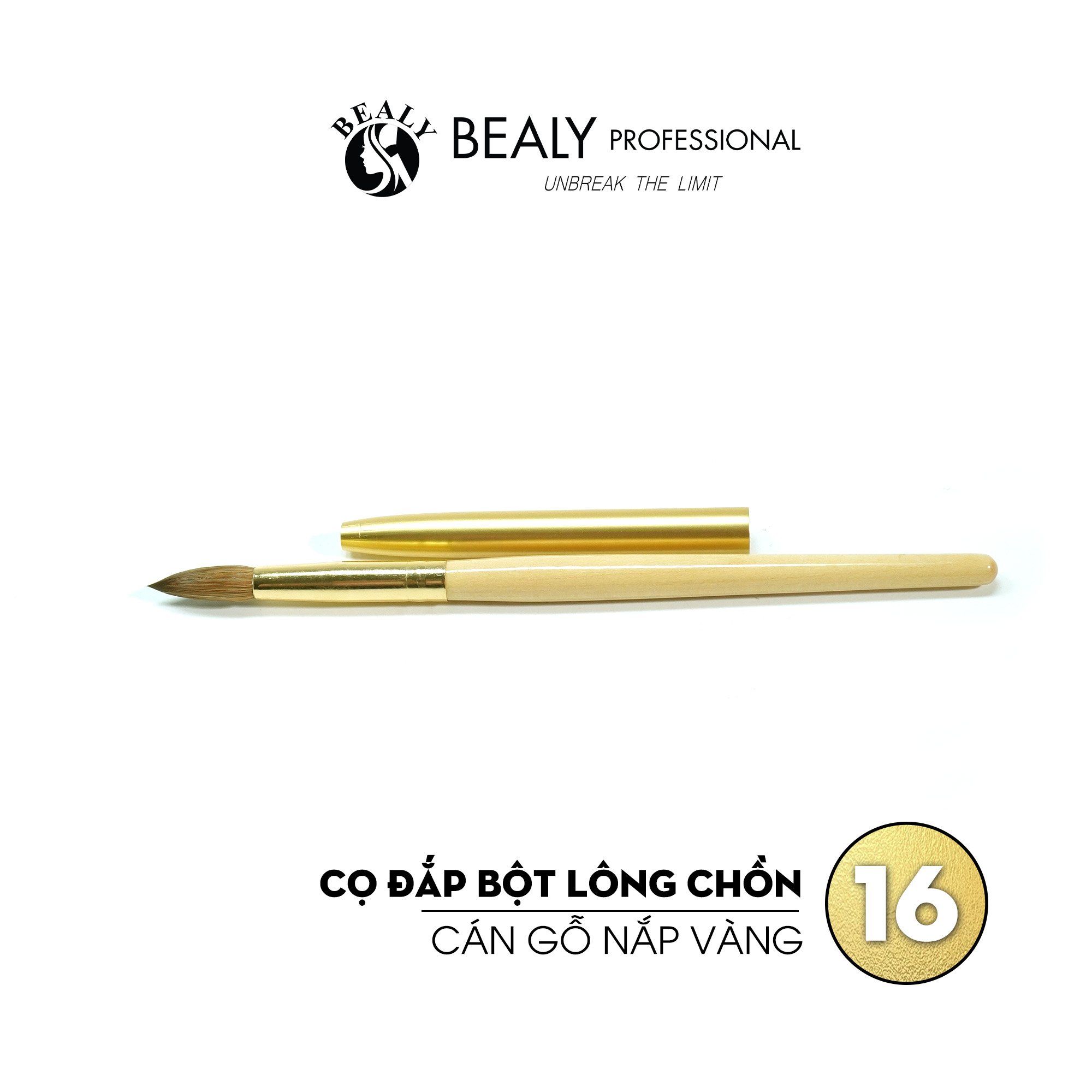  CỌ ĐẮP BỘT LÔNG CHỒN CÁN GỖ NẮP VÀNG 