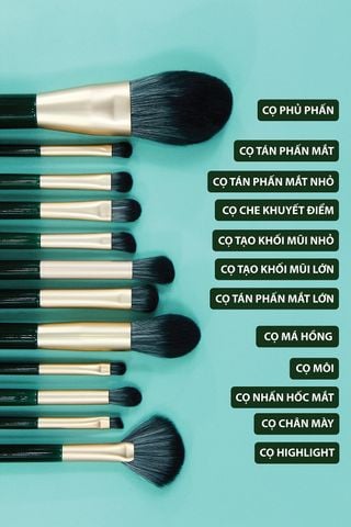  BỘ CỌ TRANG ĐIỂM CÁN NGẮN XANH ĐẬM 12C 