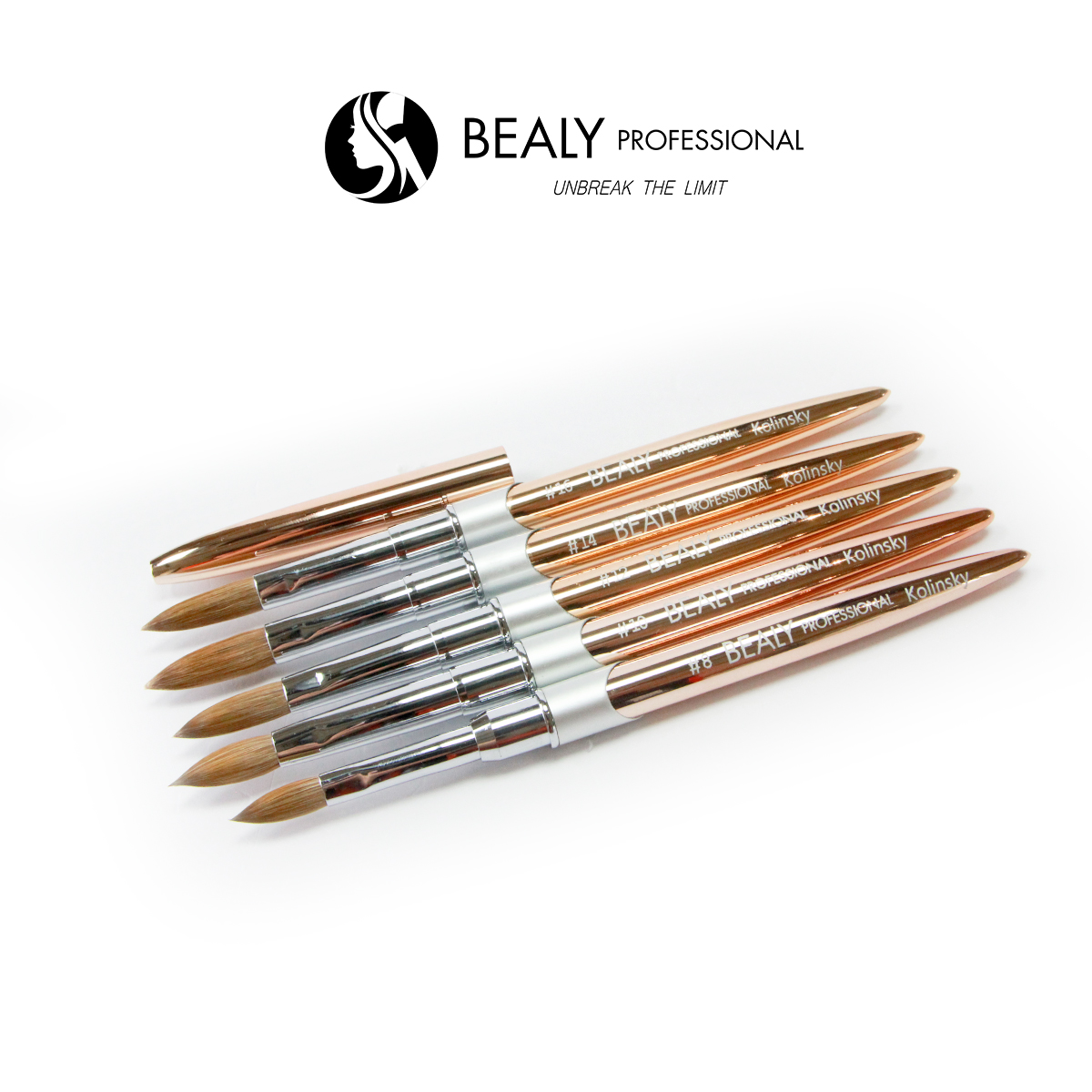 CỌ ĐẮP BỘT BEALY - VL VÀNG ĐỒNG