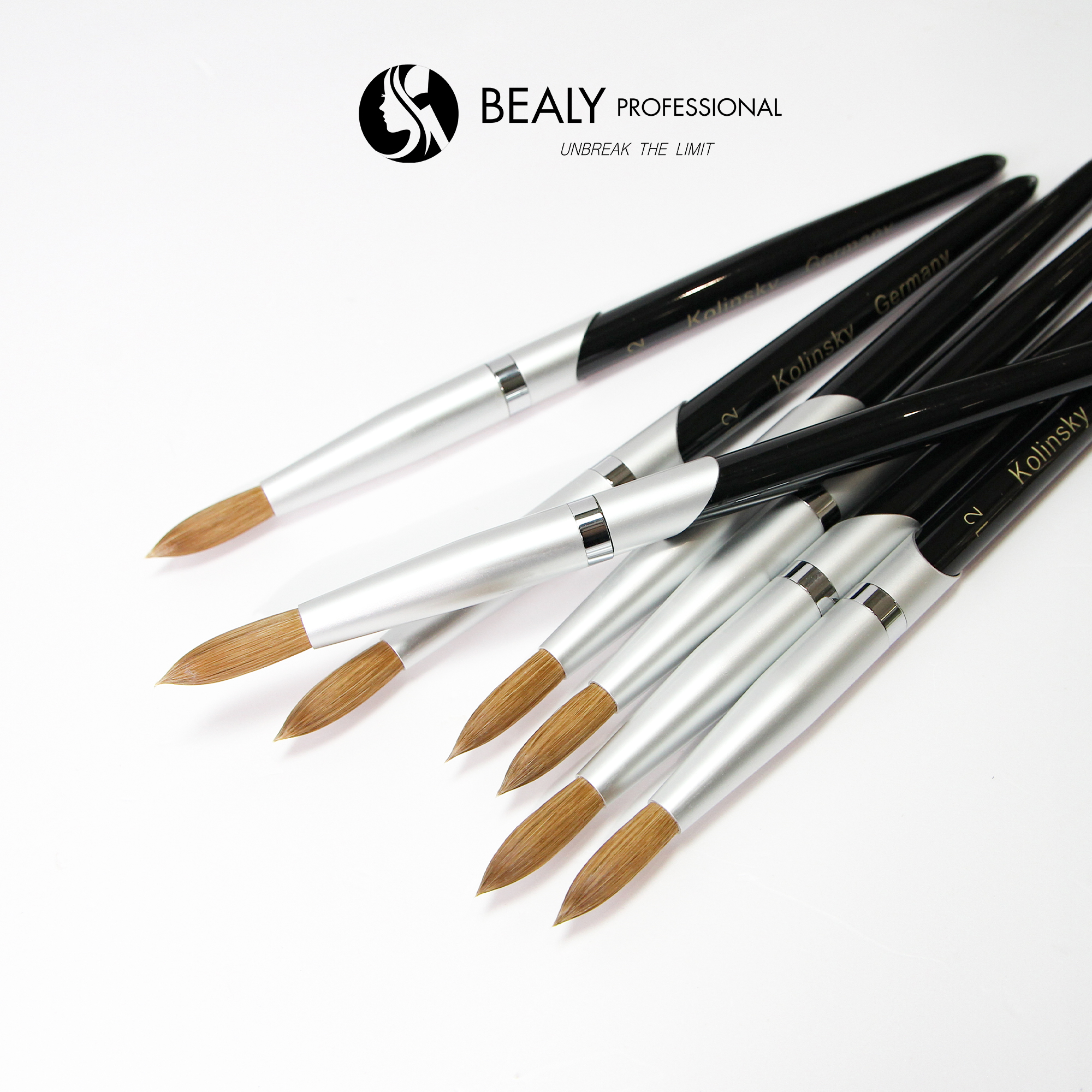 CỌ ĐẮP BỘT LÔNG CHỒN ĐẦU ÂU VL CỔ BẠC CÁN ĐEN Kolisky Germany