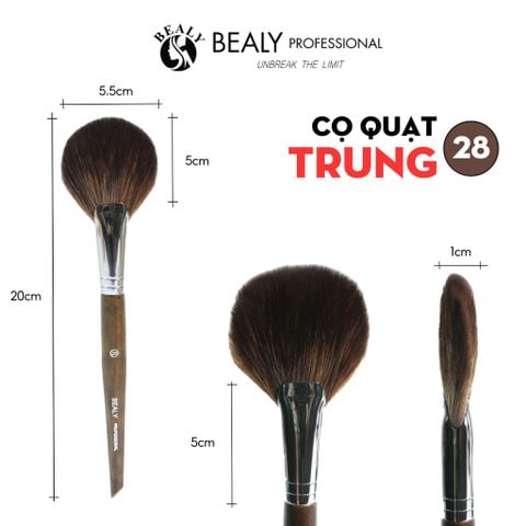  CỌ QUẠT, HIGHLIGHT, BẮT SÁNG BEALY 
