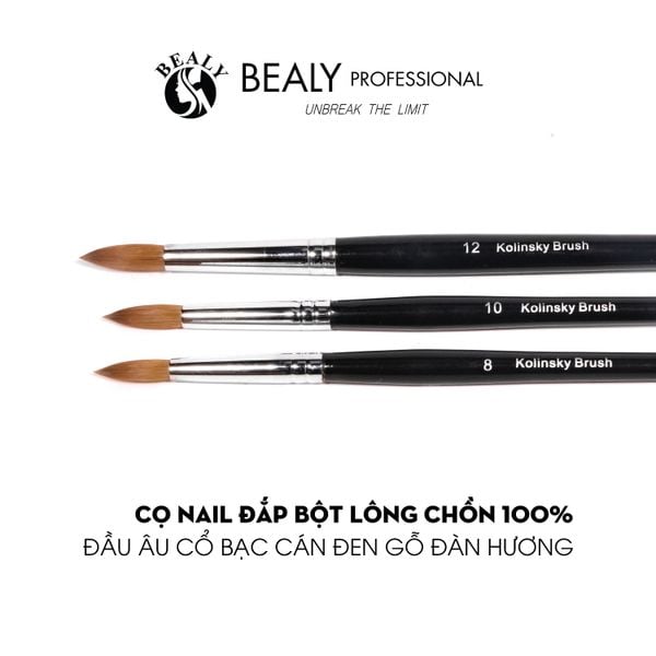  CỌ NAIL ĐẮP BỘT LÔNG CHỒN 100% ĐẦU ÂU CỔ BẠC CÁN ĐEN GỖ ĐÀN HƯƠNG 