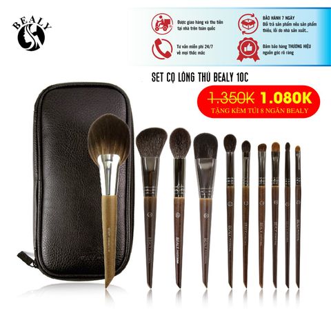  SET 10C CỌ XẾP LỚP BEALY LT26C 