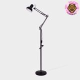 BEAUTIFUL LIGHTING PLANT