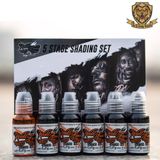 FIVE STAGE SHADING SET 6 BOTTLE