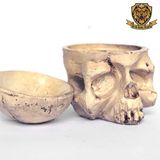 SKULL INKCUP SHELF