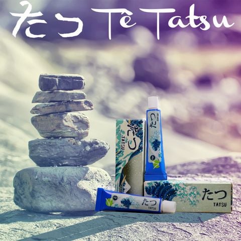 Tê xăm hình - Tatsu Eco 10g