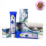 TATSU ECO 10G ANESTHETIC