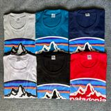  Áo Thun Unisex PATAGONIA T SHIRT Chất Vải Cotton 