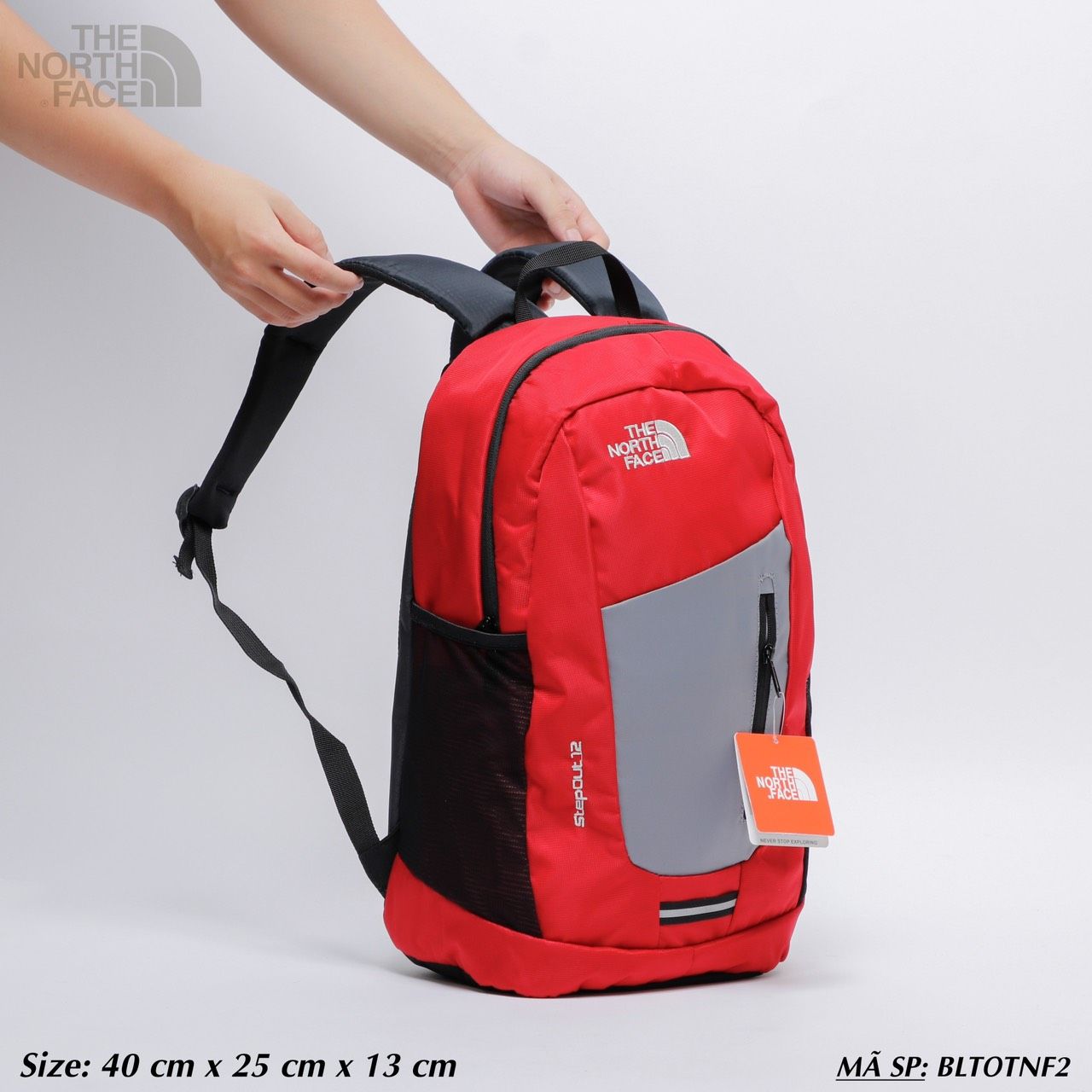  Balo Đi Học Đi Làm THE NORTH FACE STEPOUT 12 