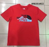  Áo Thun Cotton THE NORTH FACE MEN’S SHORT-SLEEVE EVOLUTION BOX FIT TEE 