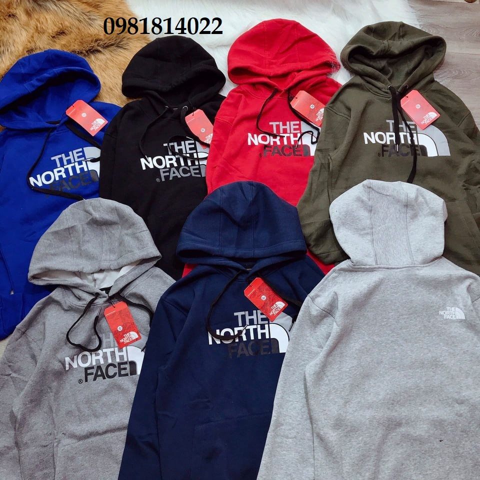  Áo hoodie logo TNF 