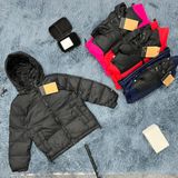  Áo Khoác Phao Trẻ Em Lông Vũ THE NORTH FACE BIG KIDS' 1996 RETRO NUPTSE JACKET 