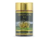 CORDYCEPS XO (ĐÔNG TRÙNG HẠ THẢO)