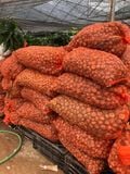 CỦ GIỐNG LAY ƠN MÀU SONG HỶ