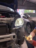  Bi led Kus cho xe hơi 
