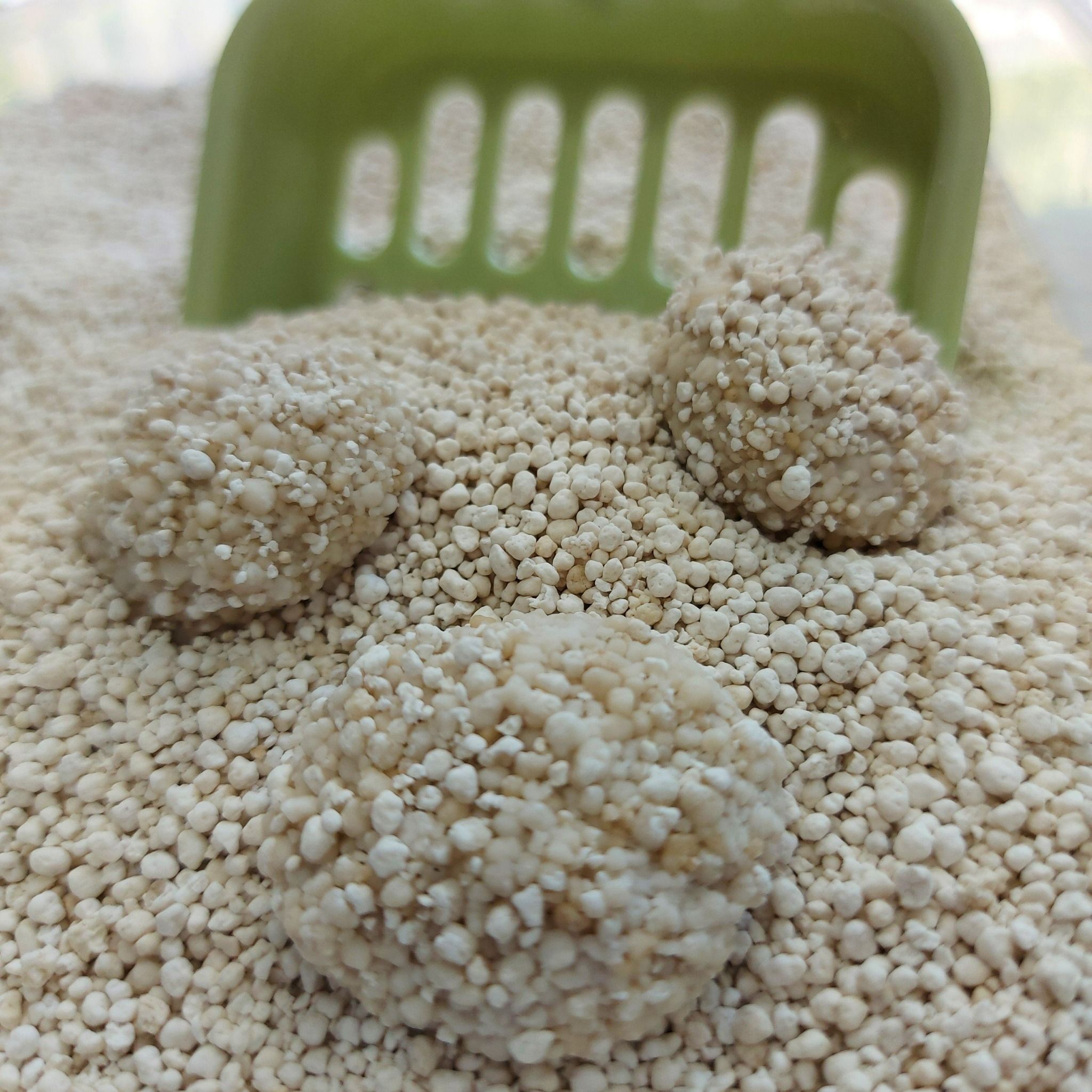 environmentally friendly litter