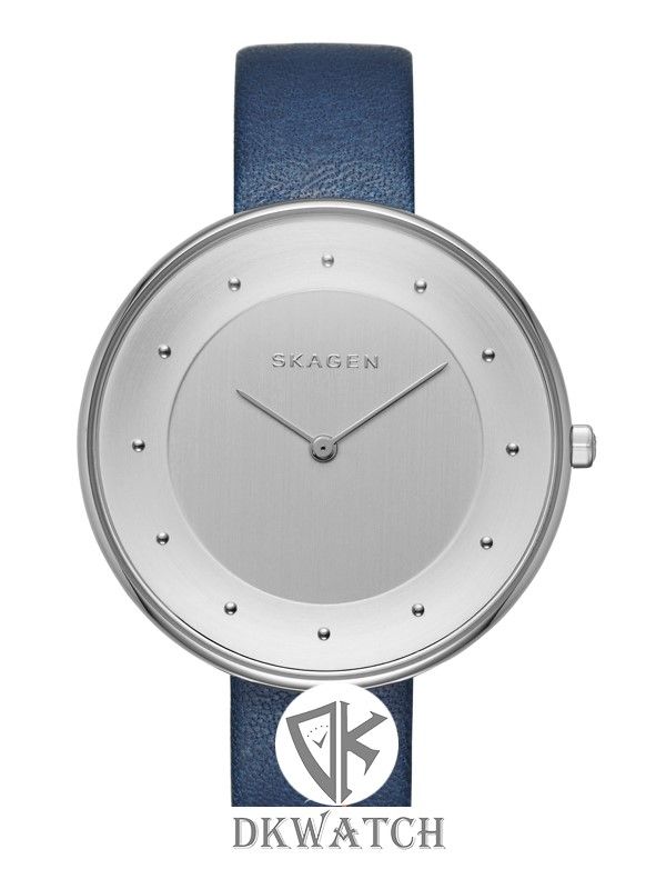  SKAGEN SKW2315 