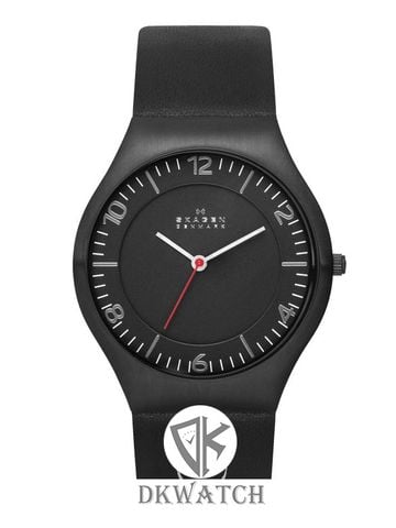 SKAGEN SKW6113