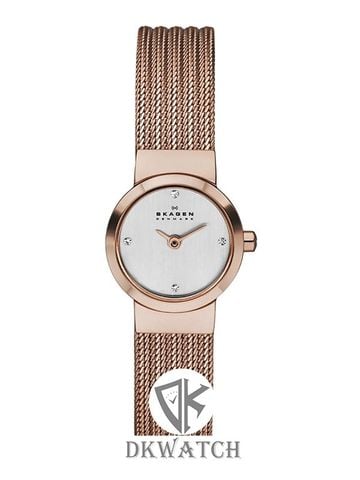 SKAGEN SKW1067