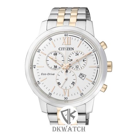 CITIZEN AT2304-50A