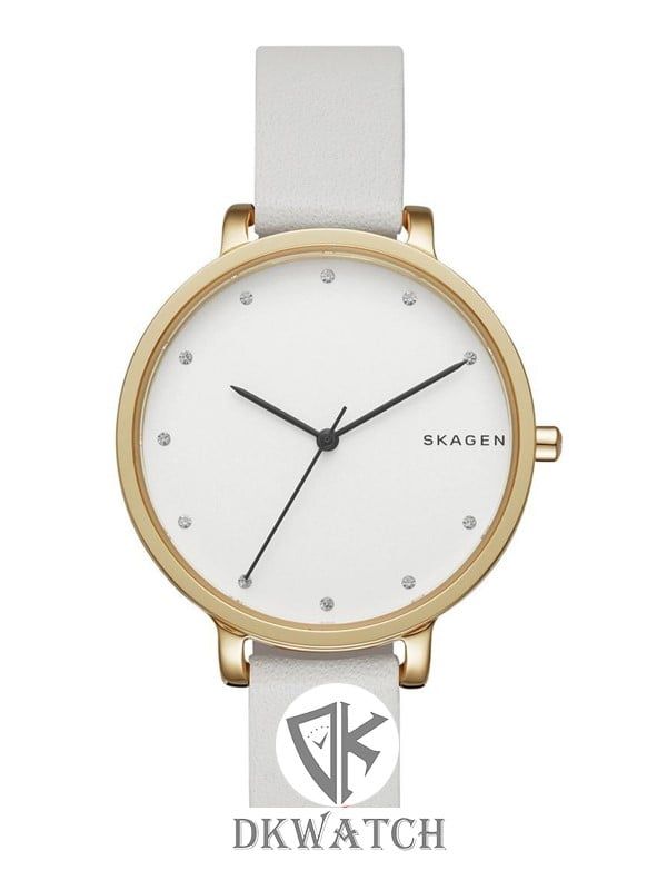  SKAGEN SKW2578 