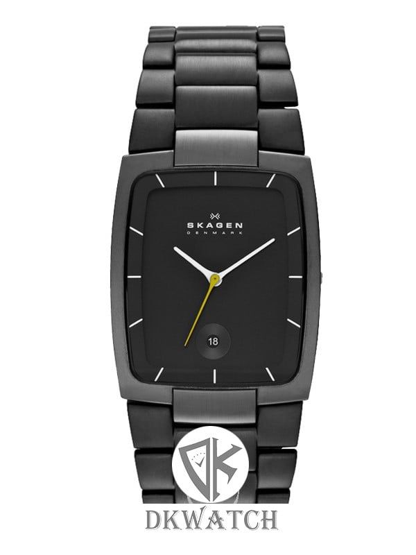  SKAGEN SKW6047 