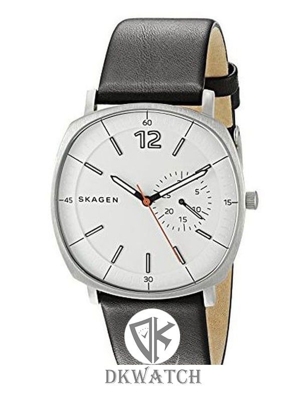  SKAGEN SKW6256 