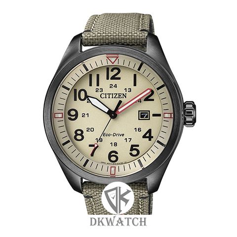 CITIZEN AW5005-12X