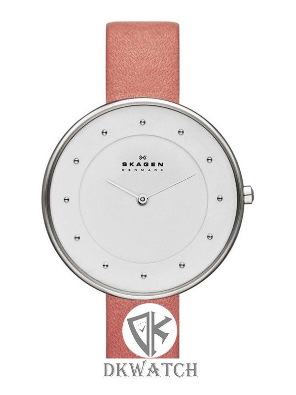  SKAGEN SKW2135 