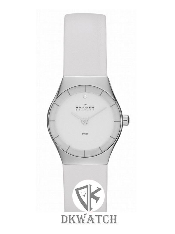  SKAGEN SKW2047 