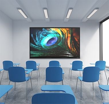  Màn hình tương tác AVASDI AVD2 Series 