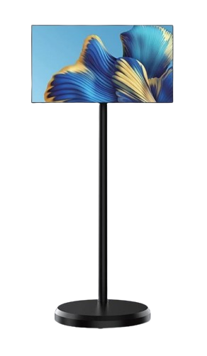  Màn hình quảng cáo AVASDI AVD-21MST 