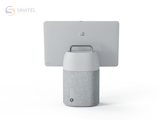  Cisco Desk Mini 