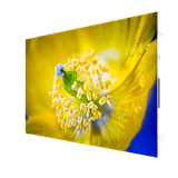  Màn hình LED ITC B Series 