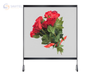 Màn Hình LED Trong Suốt LED Holographic Invisible Screen
