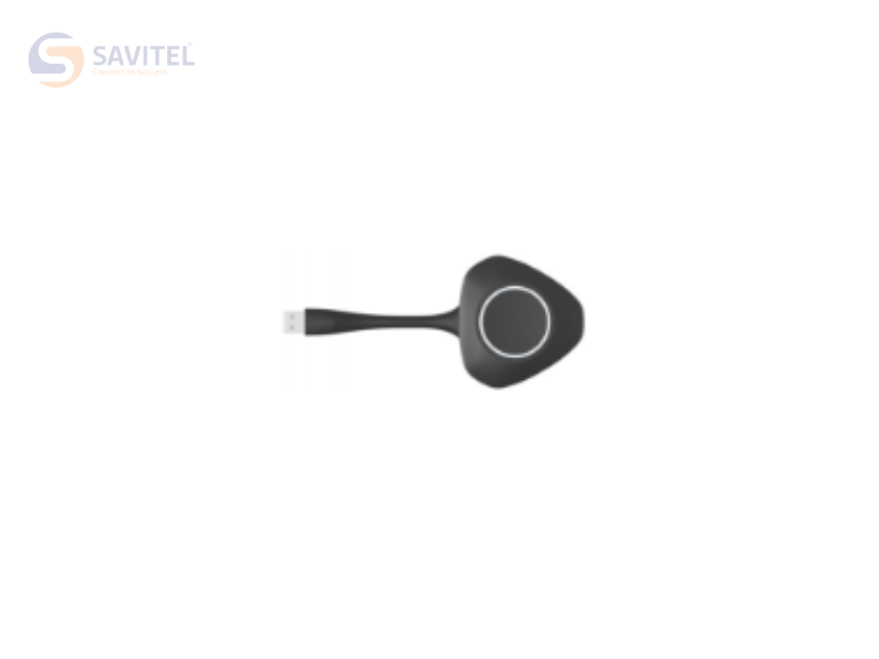  Thiết bị trình chiếu không dây AVASDI AVD-WP2 