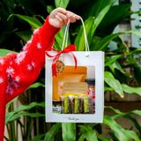 SET QUÀ TẶNG GIÁNG SINH - HAPPI OHA