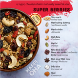Ngũ Cốc Ăn Sáng/Ăn Kiêng Không Đường Tinh Luyện Vị 8 Loại Hạt Trái - Granola Super Berries HAPPI OHA 240G