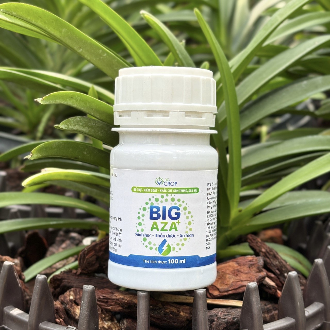 BIG AZA - Giải Pháp Sinh Học Trừ Sâu Rầy An Toàn Cho Người Dùng Và Vật Nuôi