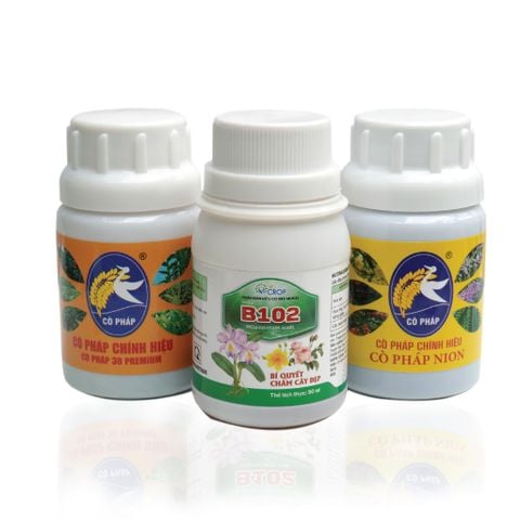 Kích rễ - Bật Mầm - Mập Thân - Dày Lá với Bước 1 Combo 8 Premium