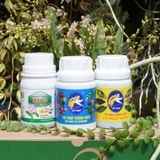 Ra Hoa Đồng Loạt, Đậm Sắc - Bền Hương Với Bước 2 Combo 8 Premium (100ml)