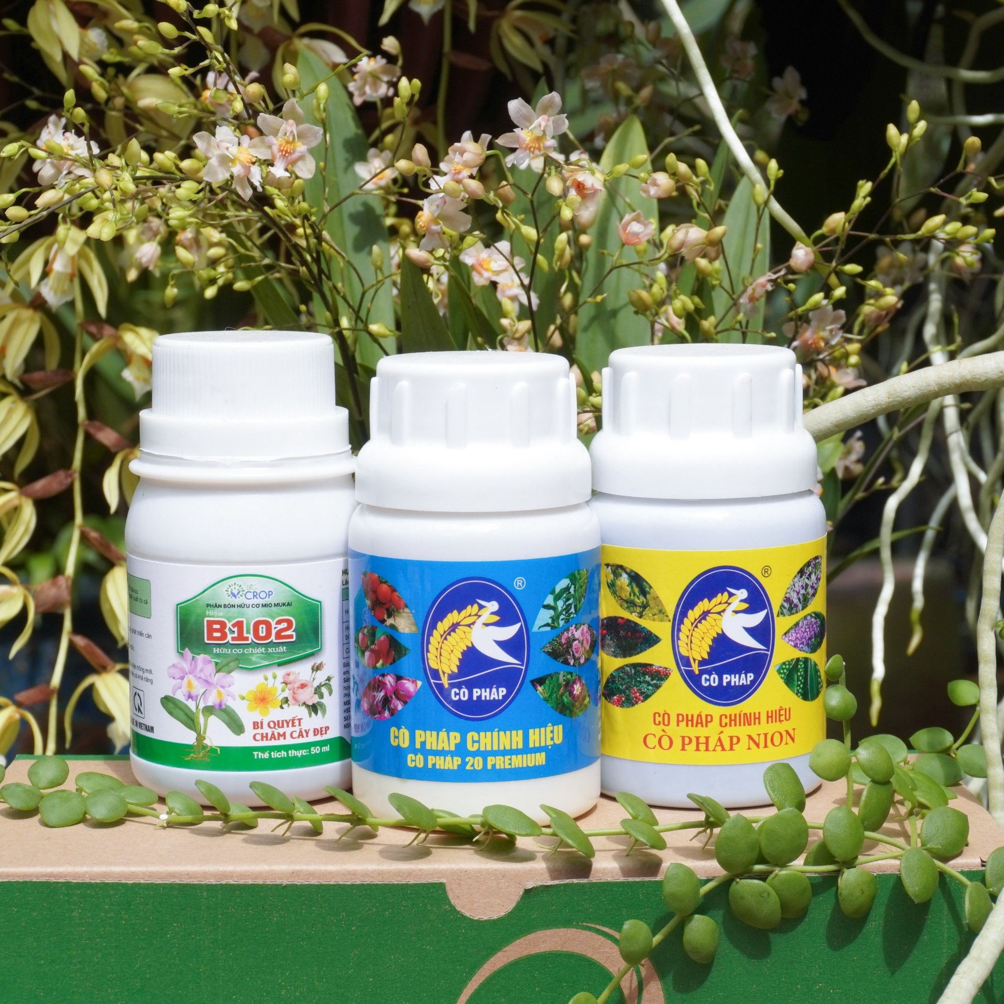 Ra Hoa Đồng Loạt, Đậm Sắc - Bền Hương Với Bước 2 Combo 8 Premium (50ml)
