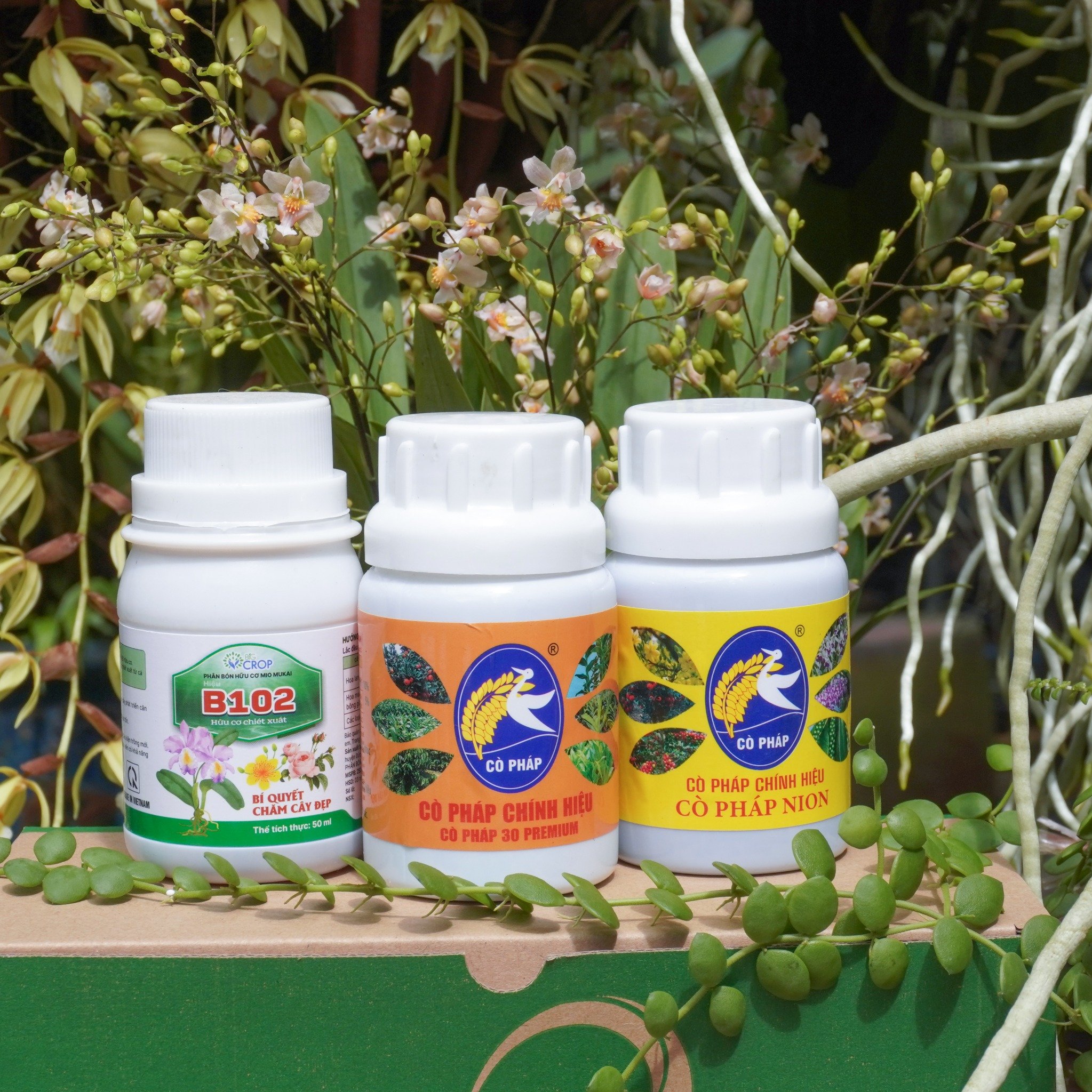Kích rễ - Bật Mầm - Mập Thân - Dày Lá với Bước 1 Combo 8 Premium (100ml)