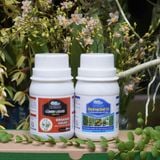 Tăng Cường Sức Đề Kháng Với Dinh Dưỡng Phụ - Nhóm 1 Combo 8 Premium (100ml)