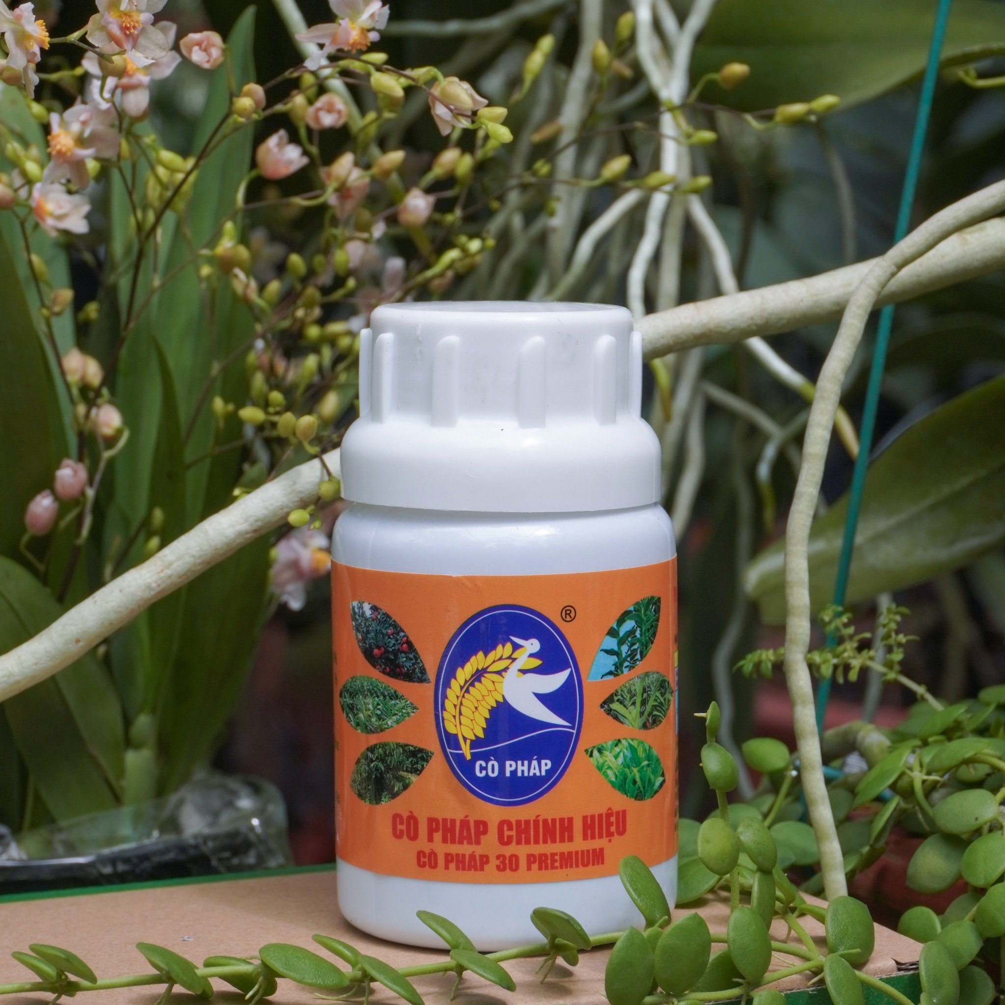 Kích Cây Ra Rễ, Nảy Mầm, To Thân, Dày Lá - Cò Pháp 30 Premium
