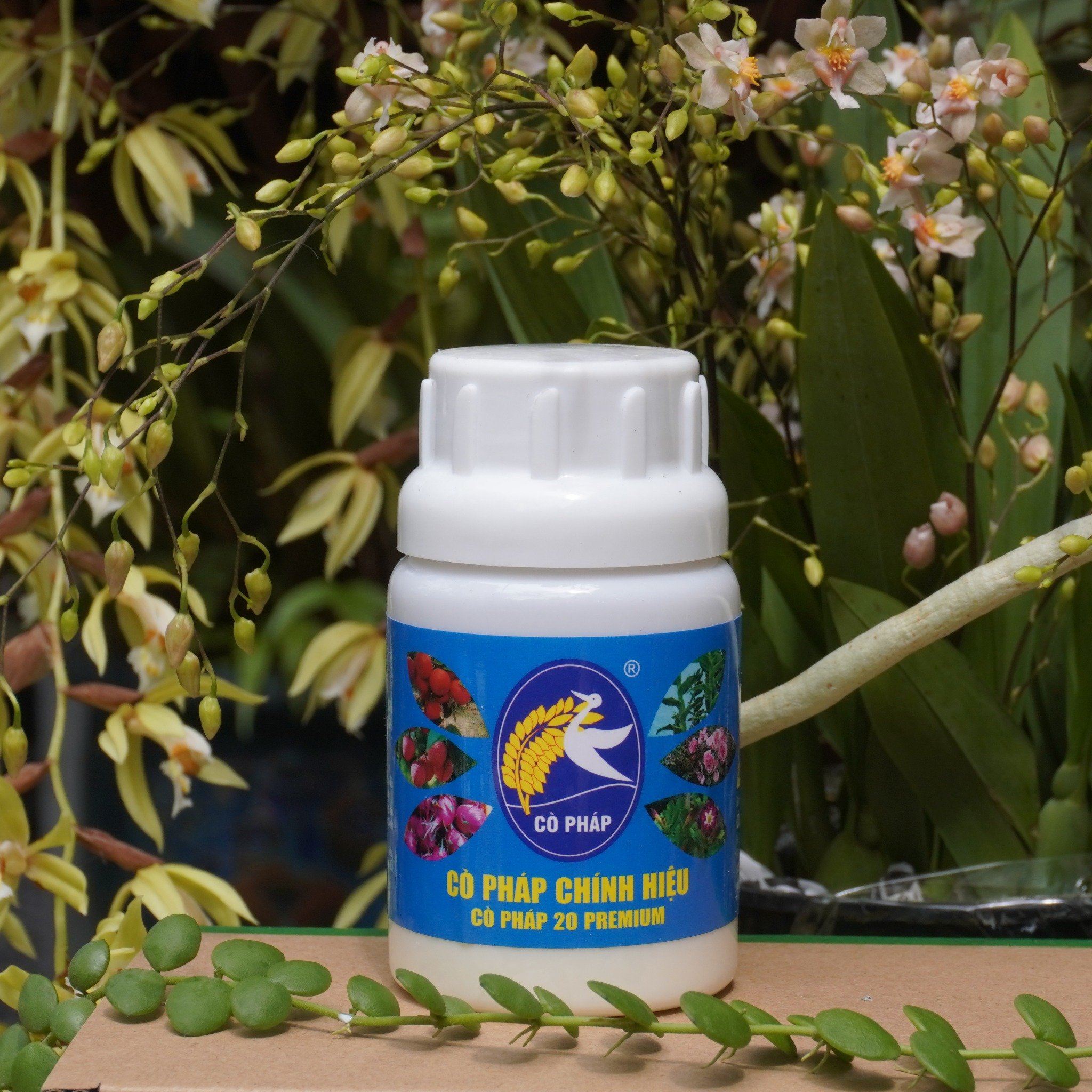 Dưỡng Cây Ra Hoa - Cò Pháp 20 Premium