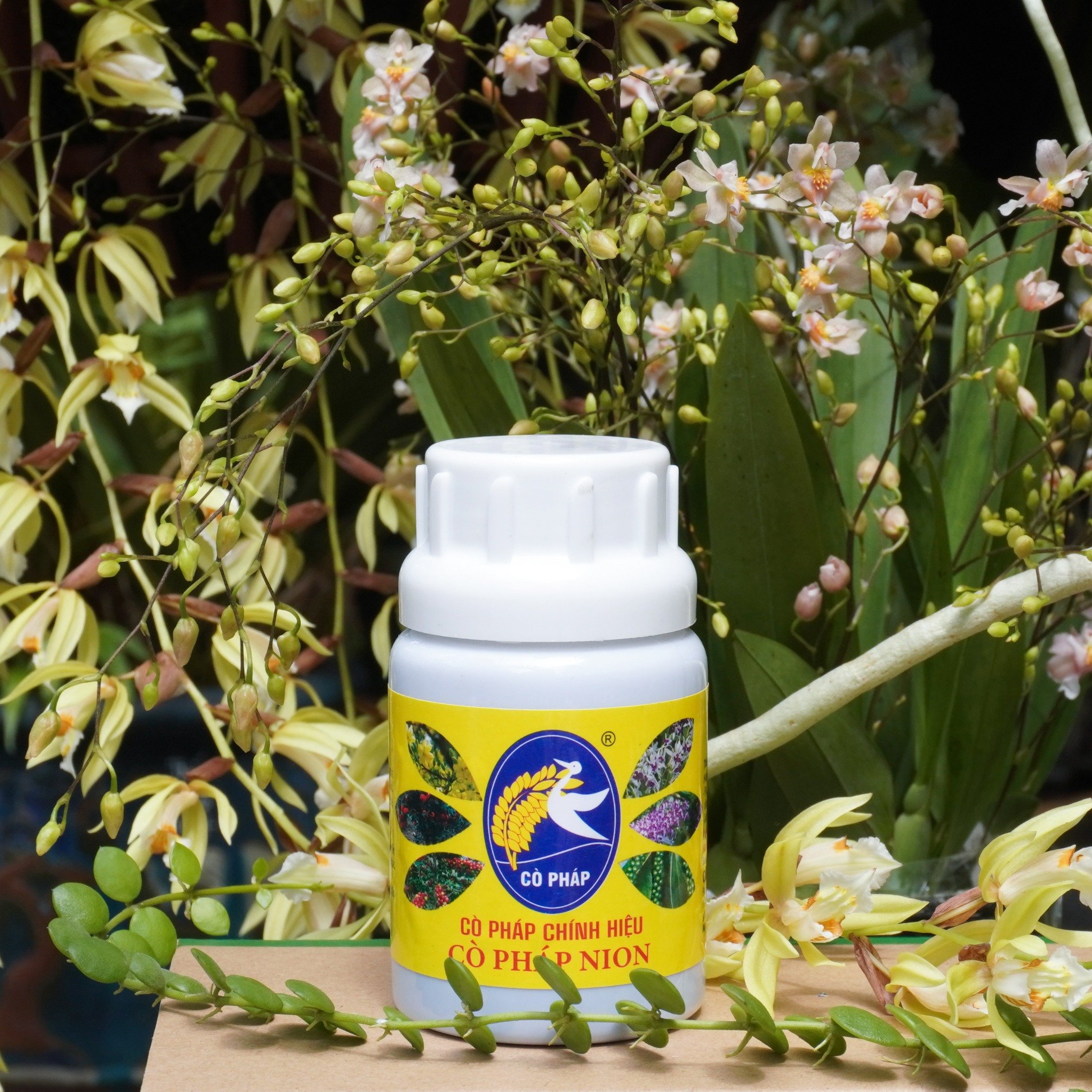 Phục Hồi Cây Nhanh Chóng Với Cò Pháp Nion - Protein Chiết Xuất