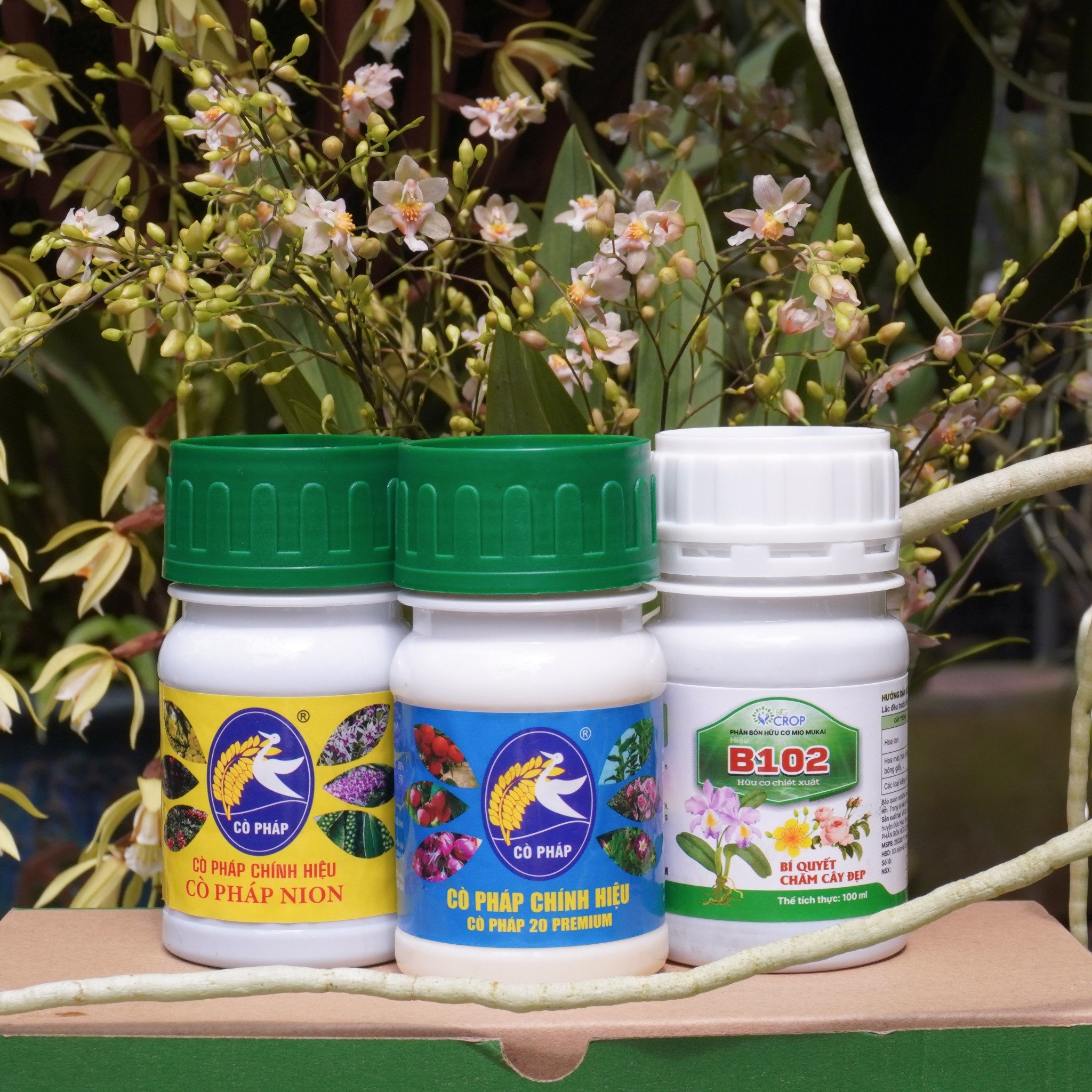 Ra Hoa Đồng Loạt, Đậm Sắc - Bền Hương Với Bước 2 Combo 8 Premium (100ml)