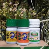 Kích rễ - Bật Mầm - Mập Thân - Dày Lá với Bước 1 Combo 8 Premium (100ml)